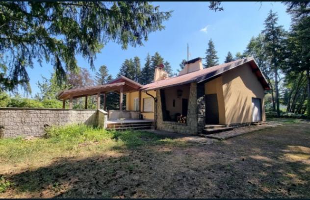 pentavano in vendita a Viterbo