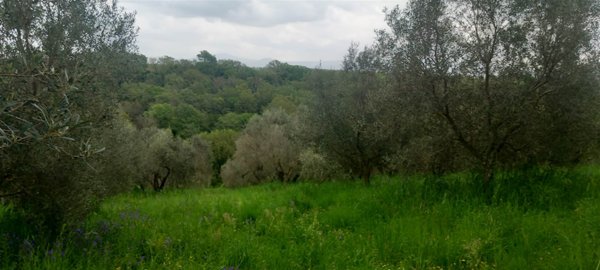 casa indipendente in vendita a Viterbo