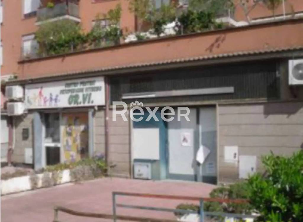 negozio in vendita a Viterbo in zona Centro Città