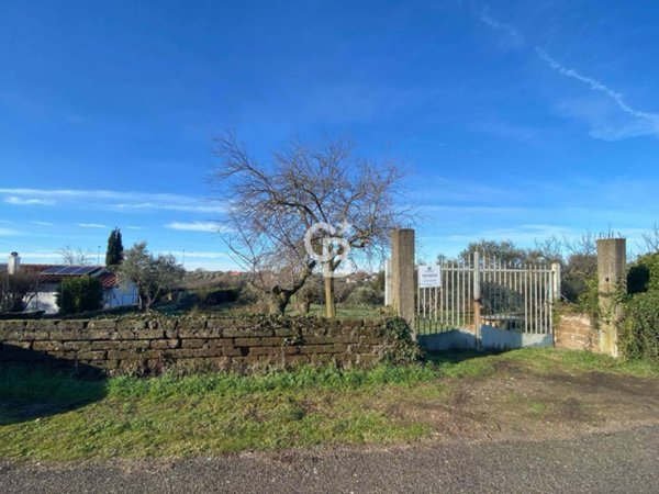 terreno agricolo in vendita a Viterbo in zona Grotte Santo Stefano