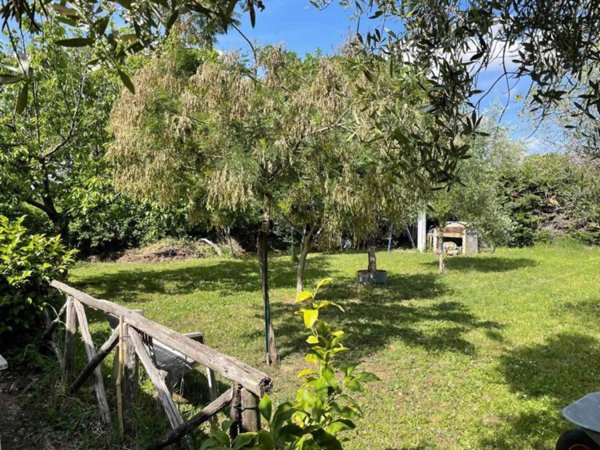 terreno agricolo in vendita a Viterbo in zona Tobia