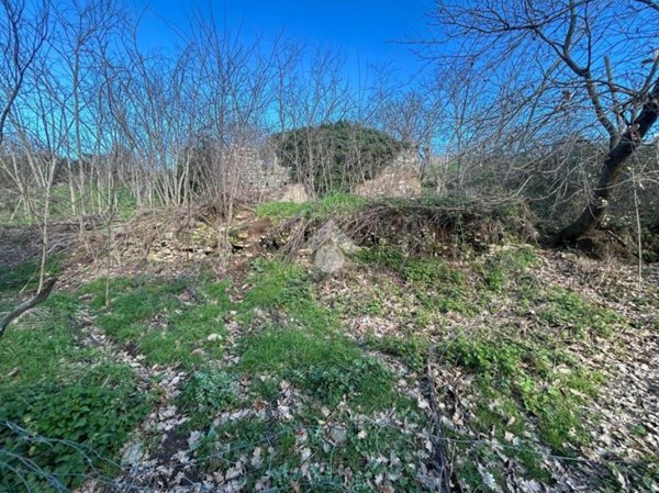 terreno agricolo in vendita a Viterbo in zona San Martino al Cimino