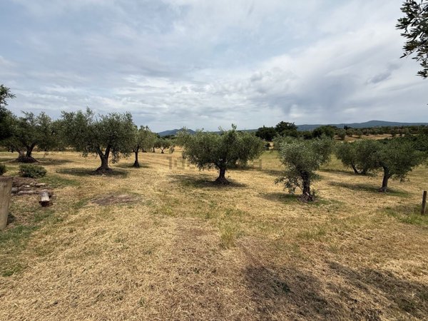 terreno agricolo in vendita a Viterbo in zona Centro Città