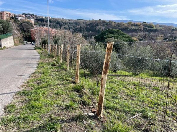 terreno agricolo in vendita a Viterbo