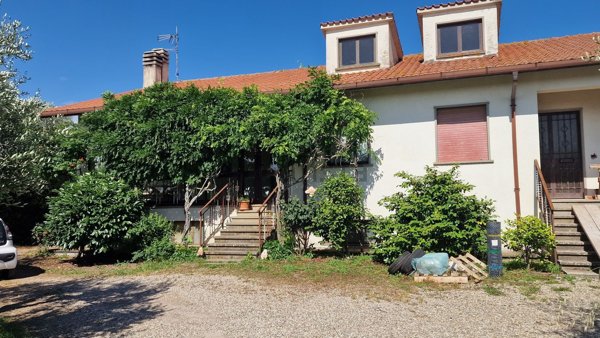 esavano in vendita a Viterbo