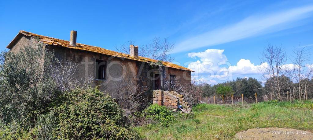 casa indipendente in vendita a Viterbo in zona Castel d'Asso