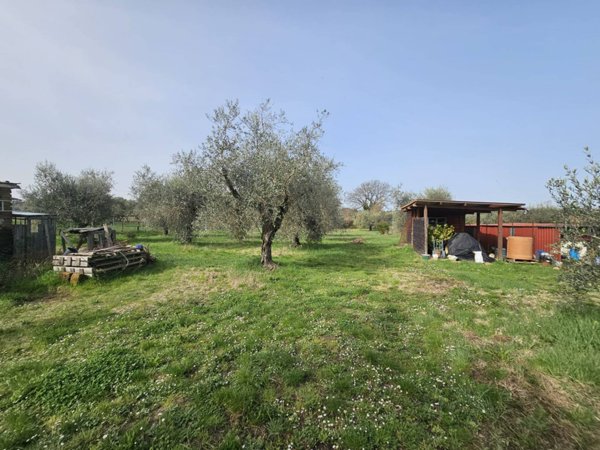 terreno agricolo in vendita a Viterbo in zona Bagnaia