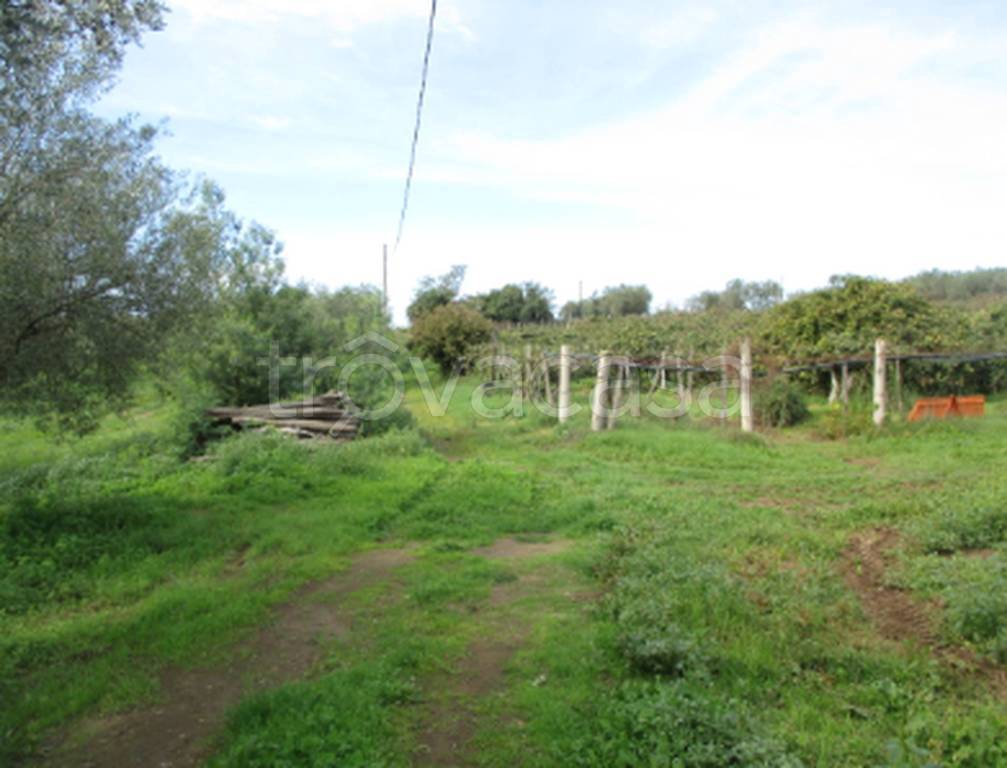 locale commerciale in vendita a Viterbo in zona Monterazzano