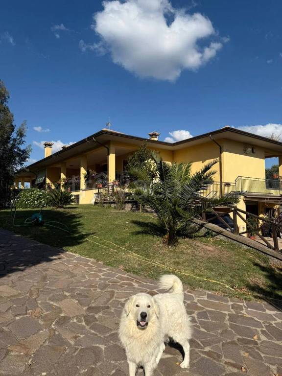 casa indipendente in vendita a Viterbo in zona Tobia