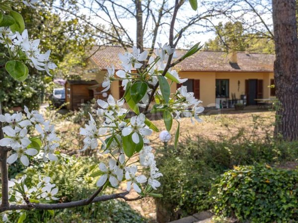 casa indipendente in vendita a Viterbo in zona San Martino al Cimino