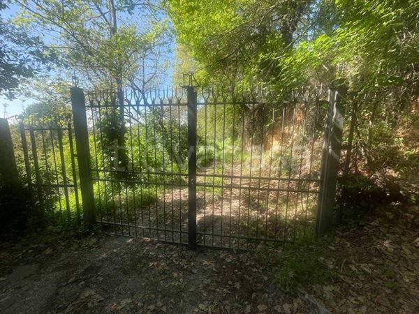 terreno agricolo in vendita a Viterbo