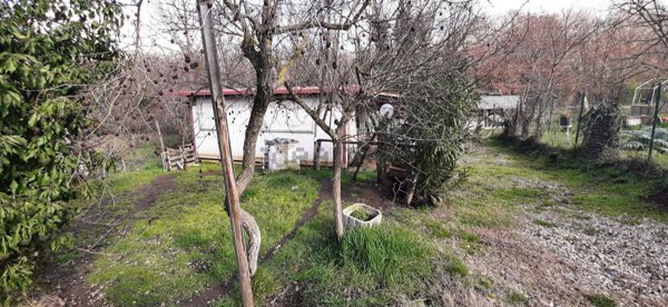 terreno agricolo in vendita a Viterbo in zona Tobia