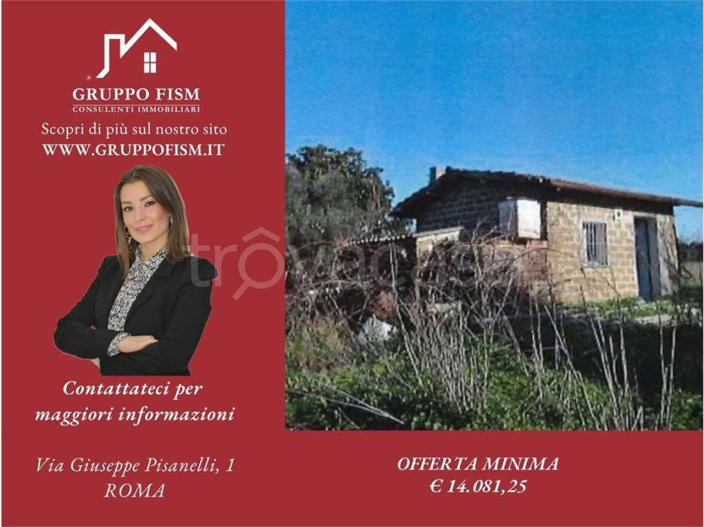 terreno agricolo in vendita a Viterbo
