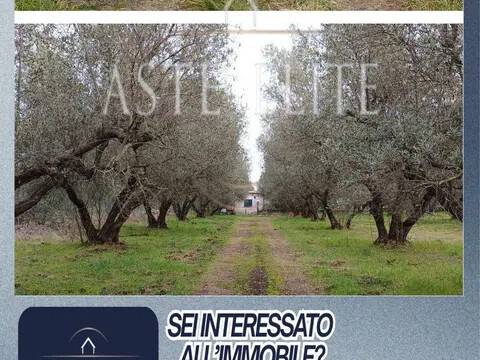 appartamento in vendita a Viterbo in zona San Martino al Cimino