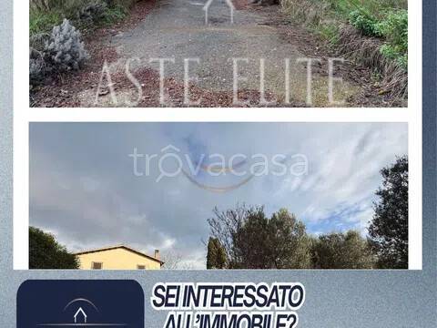 appartamento in vendita a Viterbo in zona Castel d'Asso