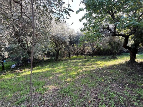 locale di sgombero in vendita a Viterbo in zona Centro Città