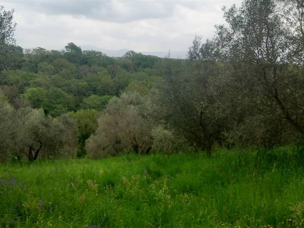 casa indipendente in vendita a Viterbo