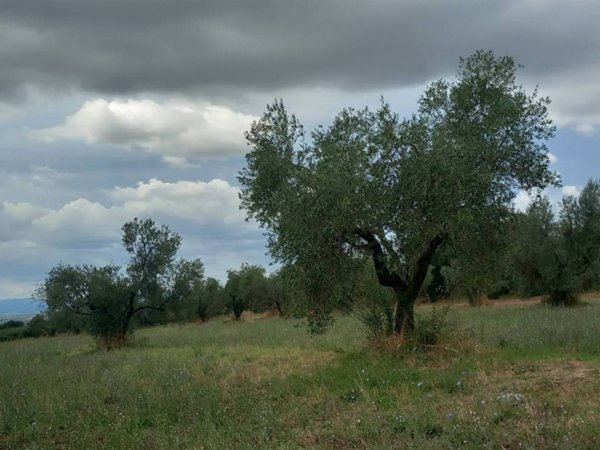 casa indipendente in vendita a Viterbo in zona Centro Città