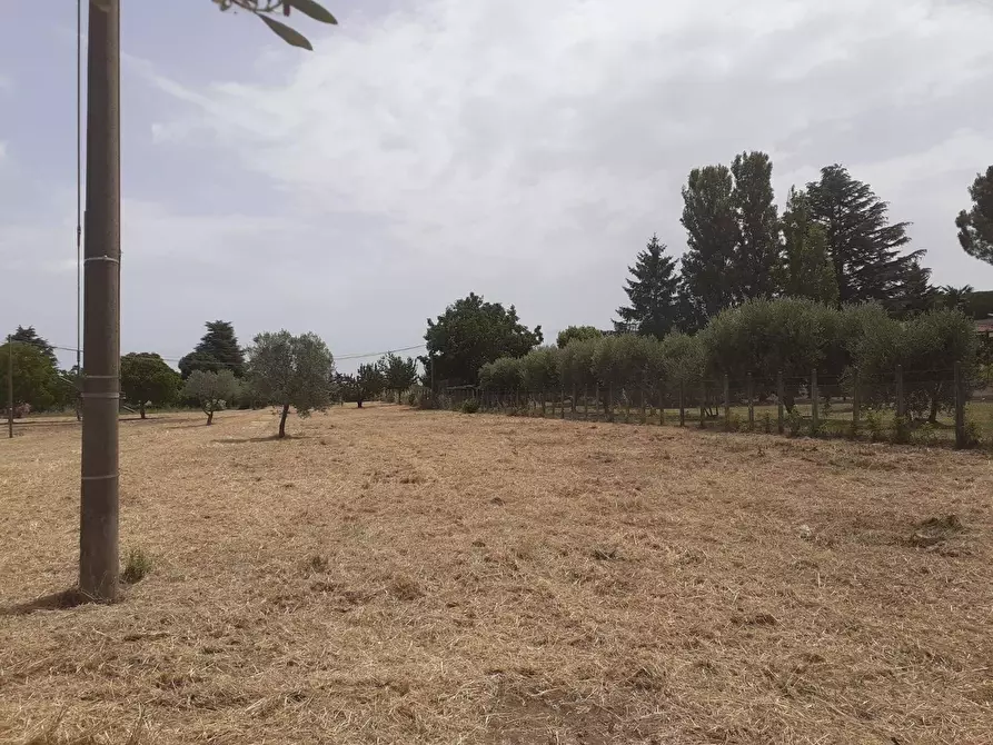 locale di sgombero in vendita a Viterbo in zona Centro Città