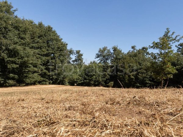 terreno in vendita a Viterbo in zona Tobia