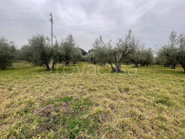 terreno edificabile in vendita a Viterbo in zona Tobia