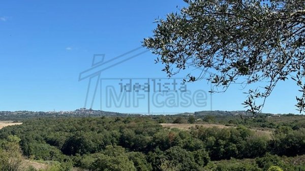 terreno in vendita a Viterbo