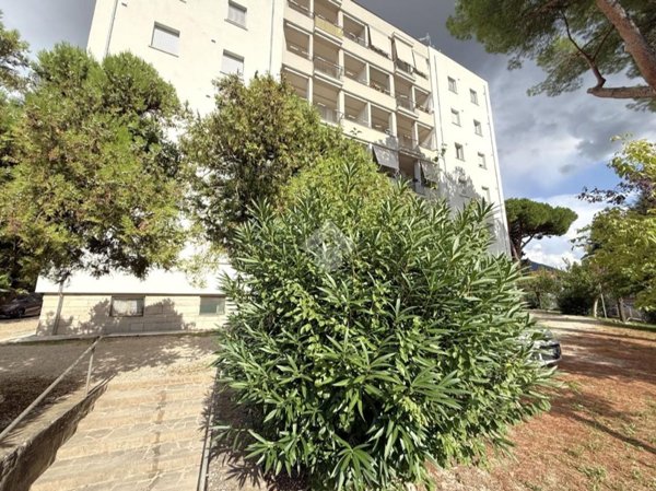 appartamento in vendita a Viterbo
