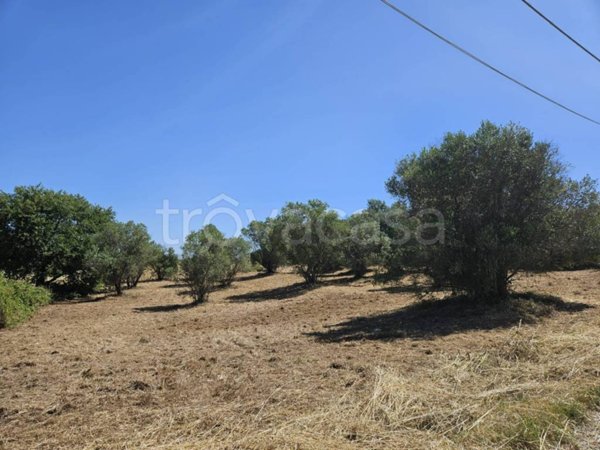 terreno in vendita a Viterbo in zona Tobia