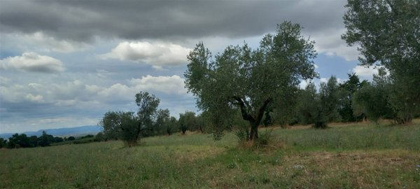 casa indipendente in vendita a Viterbo in zona Centro Città