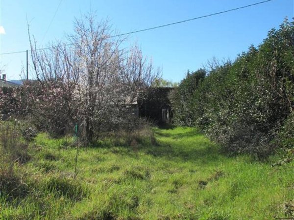 terreno agricolo in vendita a Vitorchiano