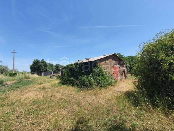 terreno agricolo in vendita a Vitorchiano