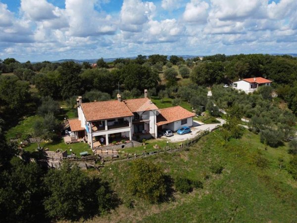 appartamento in vendita a Vitorchiano