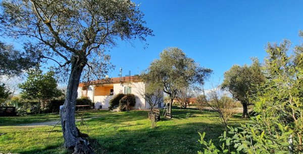 casa indipendente in vendita a Vitorchiano