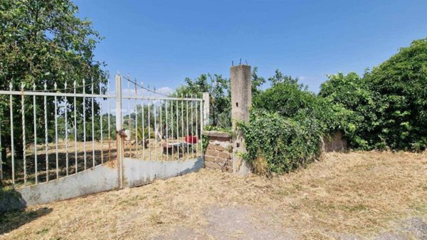 appartamento in vendita a Vitorchiano