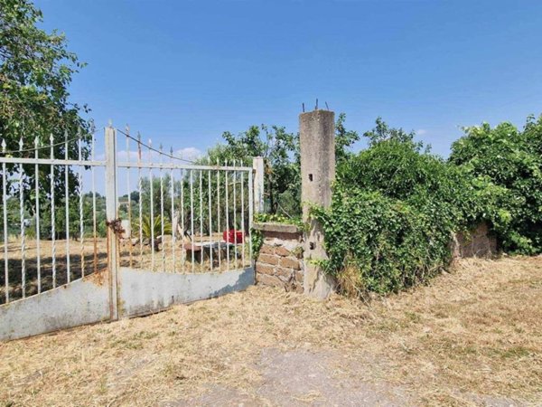 appartamento in vendita a Vitorchiano