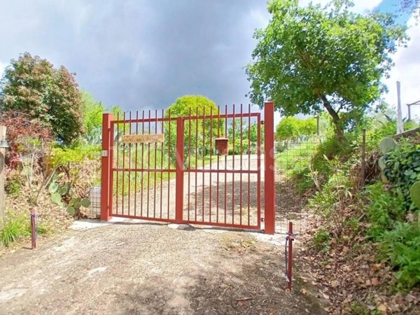 casa indipendente in vendita a Vitorchiano