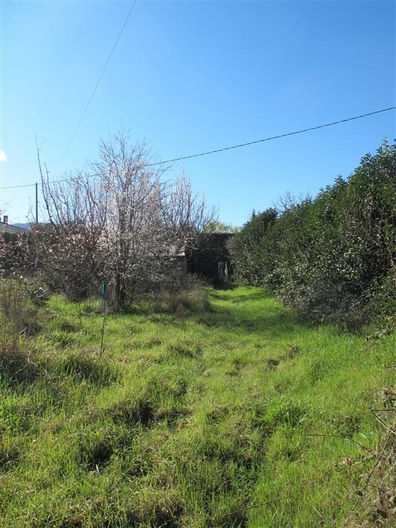 terreno agricolo in vendita a Vitorchiano