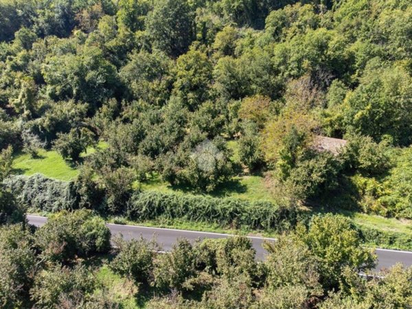 terreno agricolo in vendita a Vitorchiano