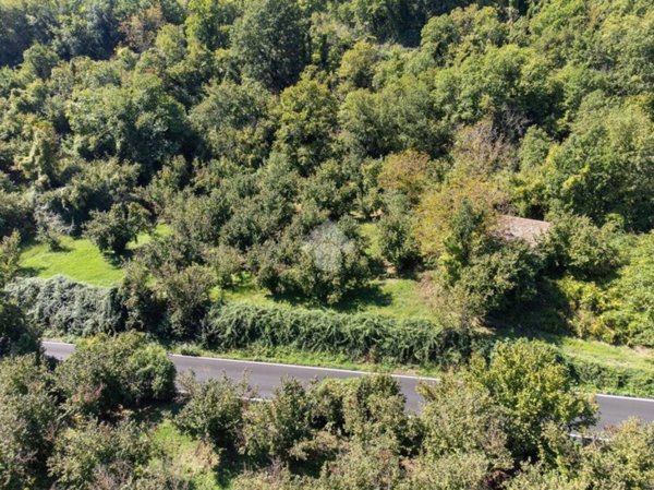 terreno agricolo in vendita a Vitorchiano