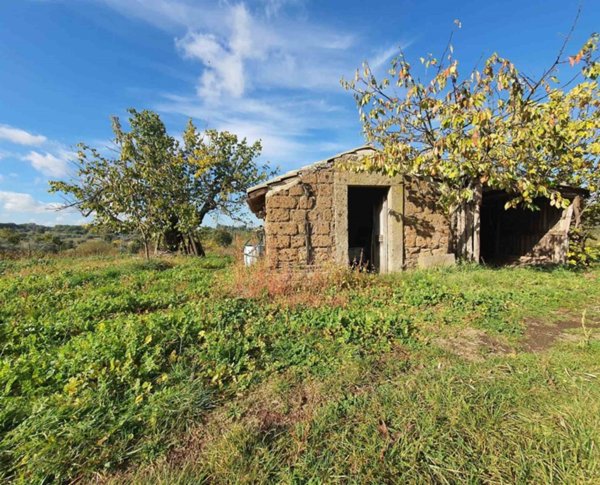 casa indipendente in vendita a Vitorchiano