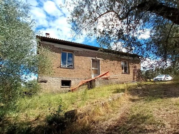 terreno agricolo in vendita a Vitorchiano