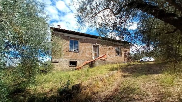 terreno agricolo in vendita a Vitorchiano