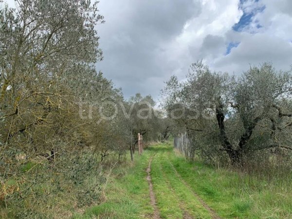 terreno agricolo in vendita a Vitorchiano