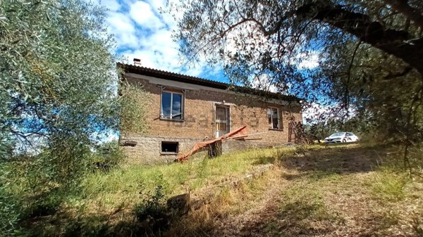 terreno agricolo in vendita a Vitorchiano