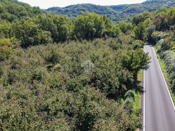 terreno agricolo in vendita a Vitorchiano