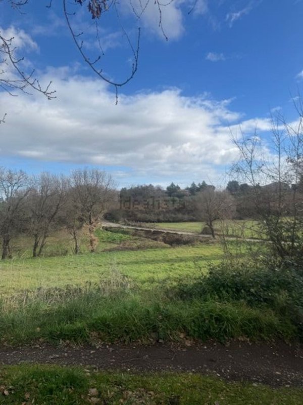 locale di sgombero in vendita a Vitorchiano