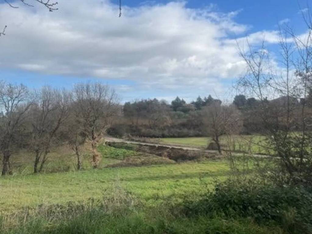 locale di sgombero in vendita a Vitorchiano