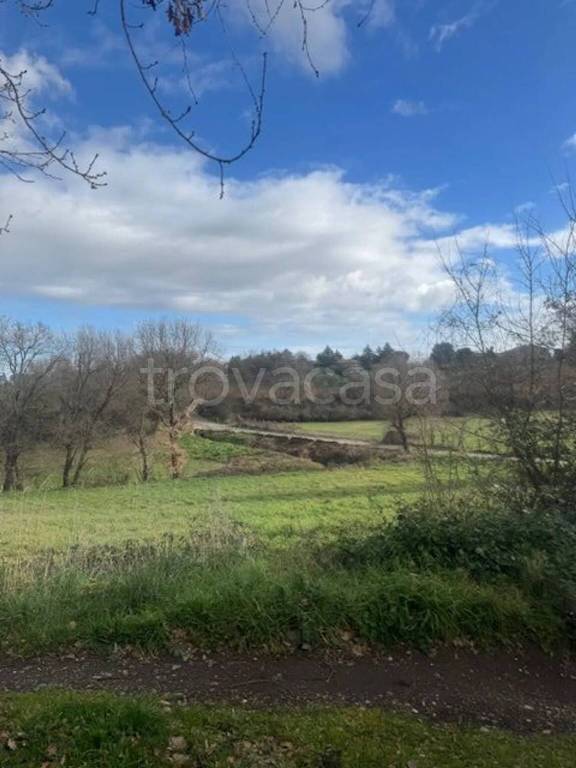 locale di sgombero in vendita a Vitorchiano