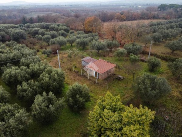 appartamento in vendita a Vitorchiano