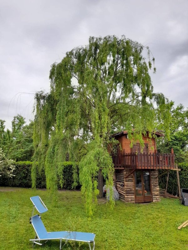 casa indipendente in vendita a Vitorchiano